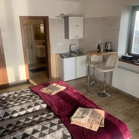 Apartment Zupanovice *
